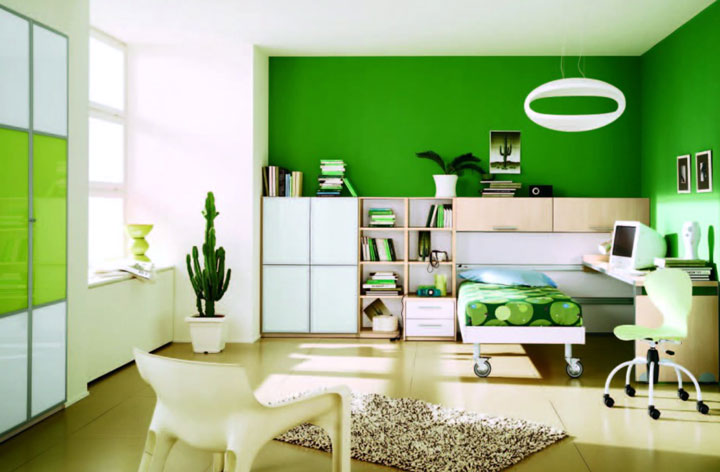 緑　壁　部屋