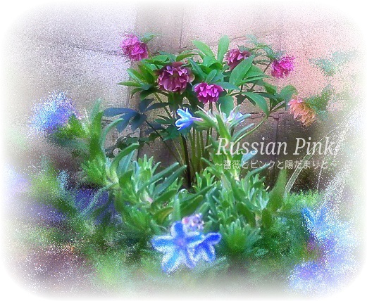 Russian Pink